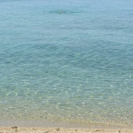 The Summer *